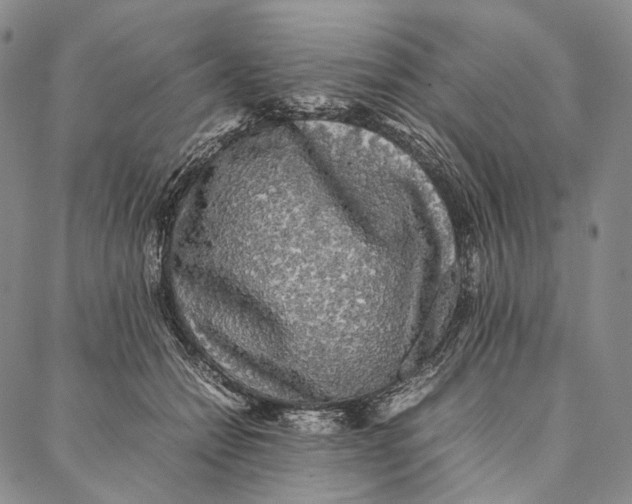 X0000087060558200705091203