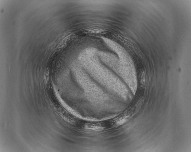 X0000087060559200705091203