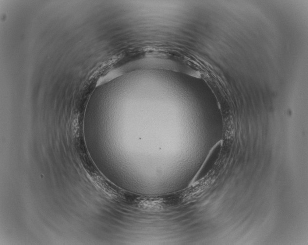 X0000087060560200705091203