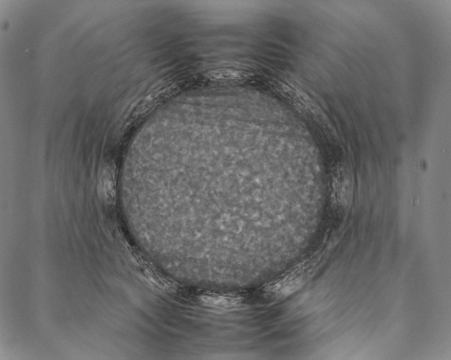 X0000087060561200705091203