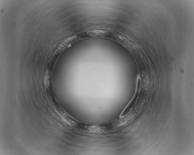 X0000087060562200705091203