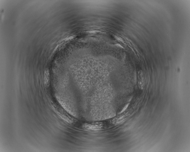 X0000087060563200705091203