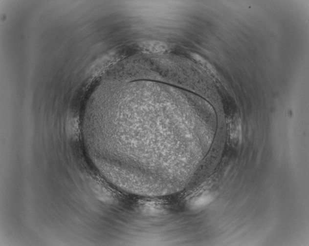 X0000087060564200705091203