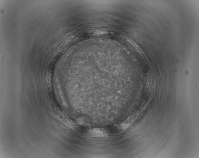 X0000087060565200705091203