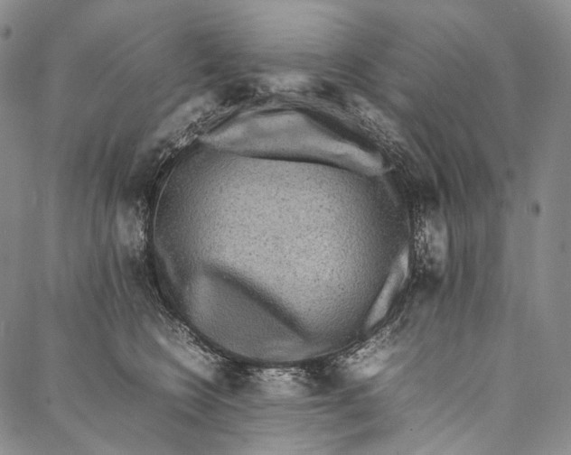 X0000087060566200705091203