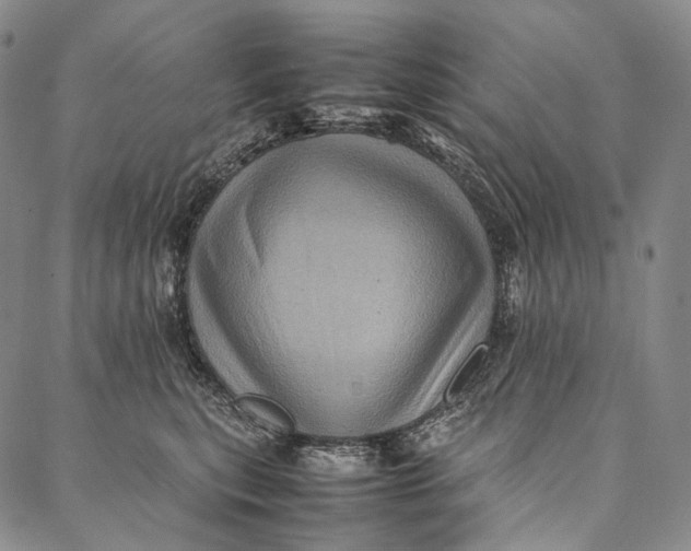 X0000087060567200705091203