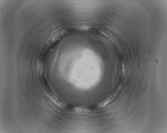 X0000087060568200705091203