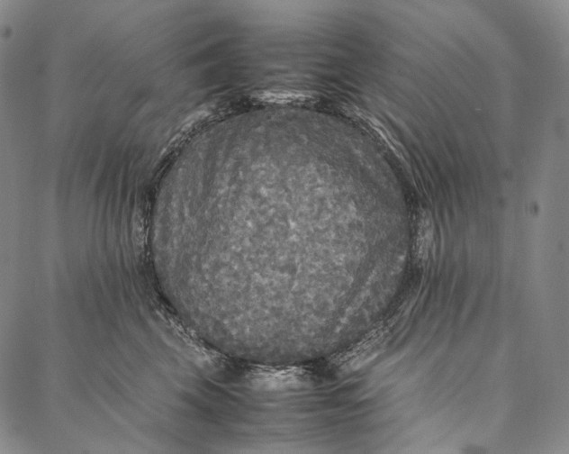 X0000087060569200705091203