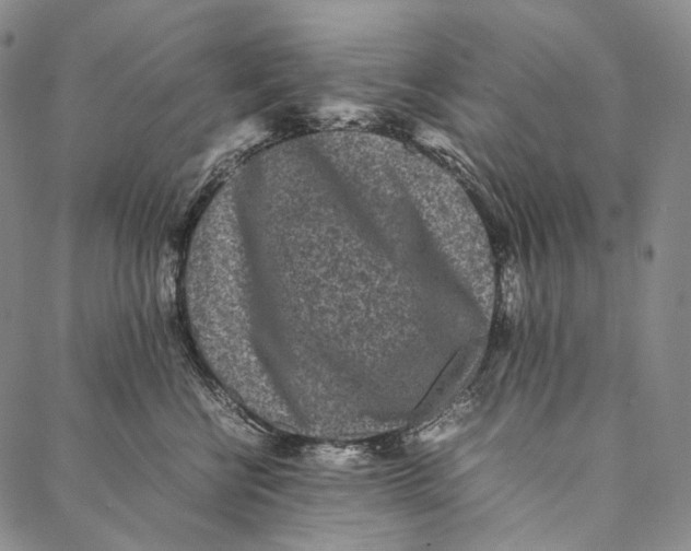 X0000087060570200705091203