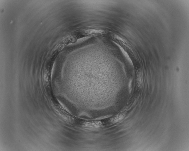 X0000087060571200705091203