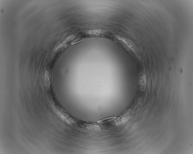 X0000087060572200705091203