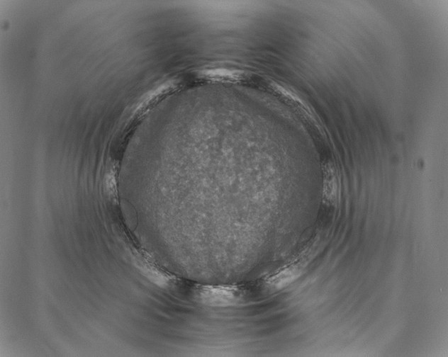 X0000087060573200705091203