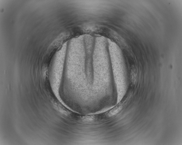 X0000087060574200705091203