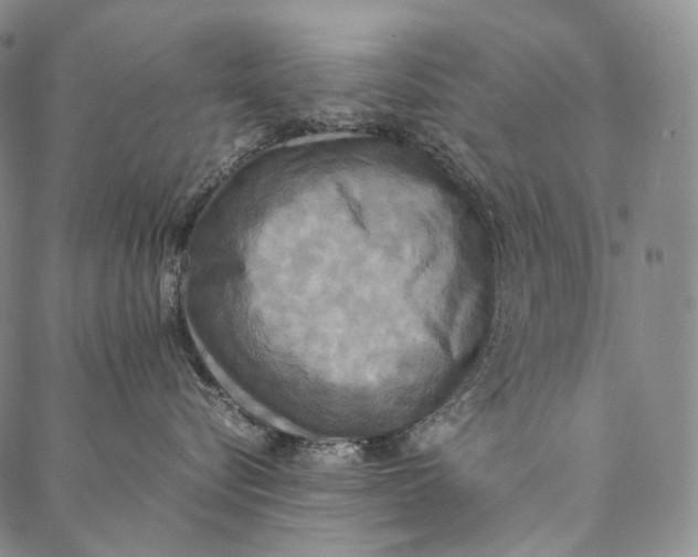 X0000087060576200705091203