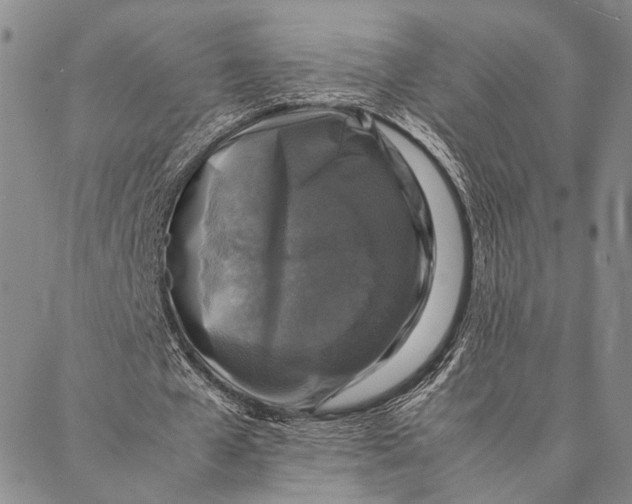 X0000087060577200705091203