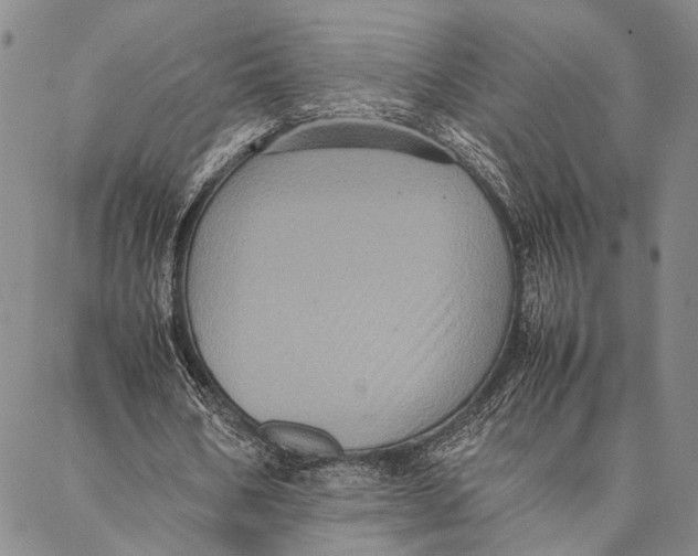 X0000087060578200705091203