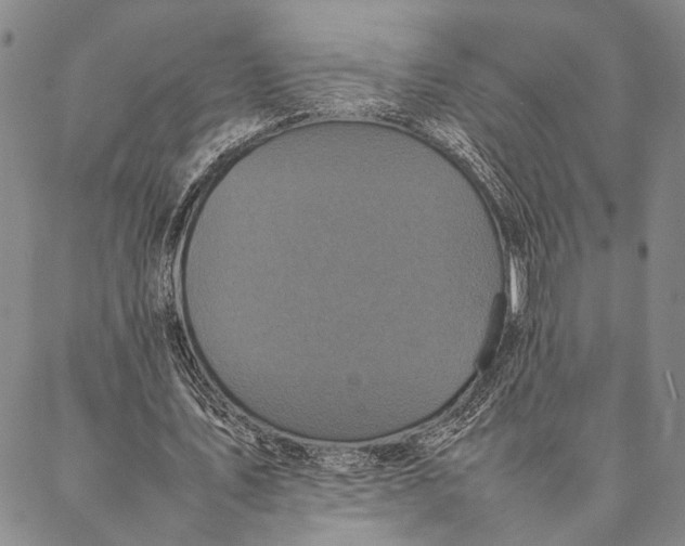 X0000087060579200705091203