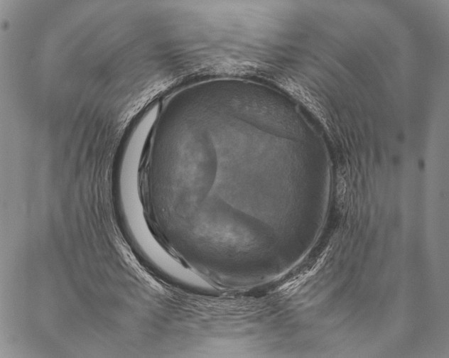 X0000087060581200705091203