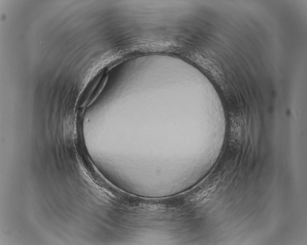 X0000087060582200705091203