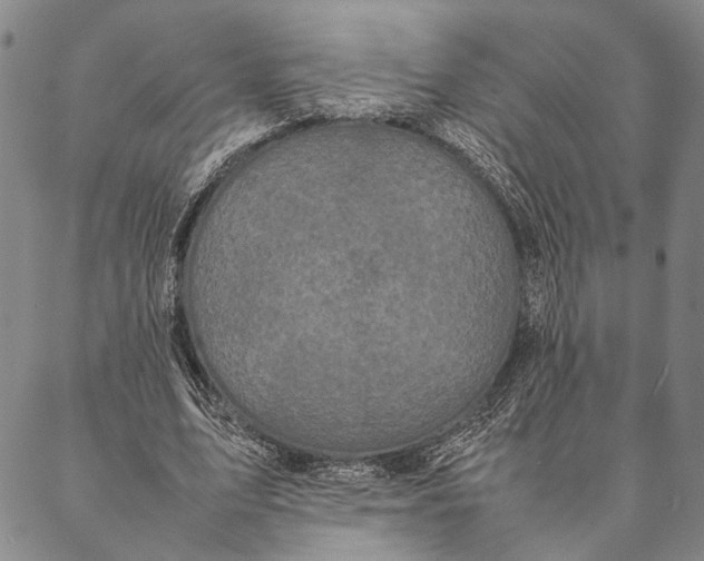 X0000087060583200705091203