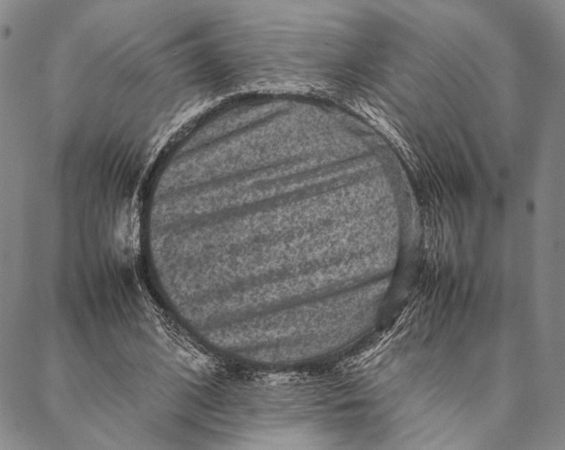 X0000087060584200705091203