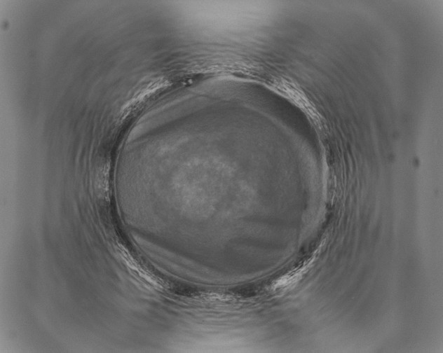 X0000087060585200705091203