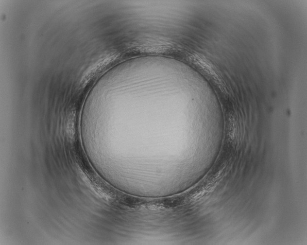 X0000087060586200705091202