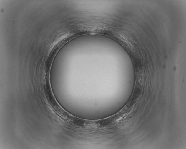 X0000087060587200705091202