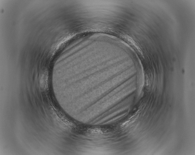 X0000087060588200705091202