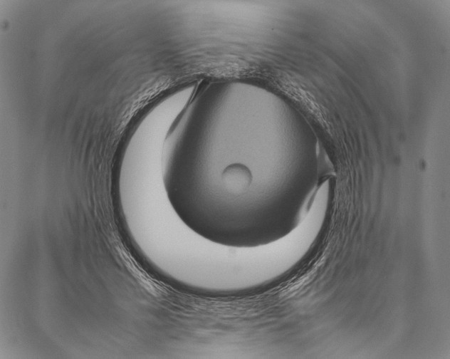 X0000087060589200705091202