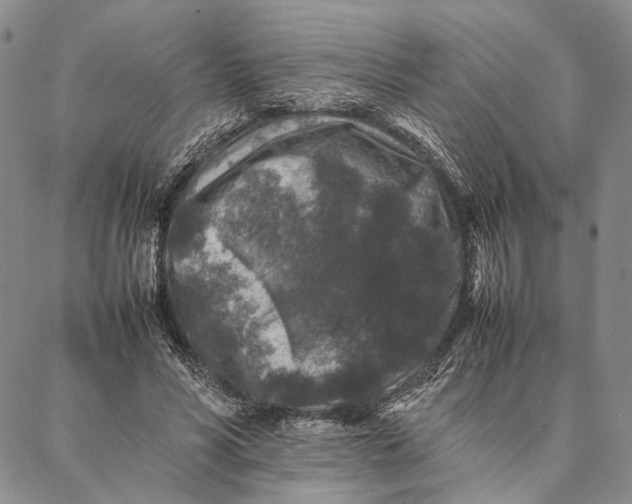 X0000087060590200705091202