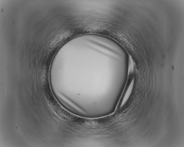 X0000087060591200705091202