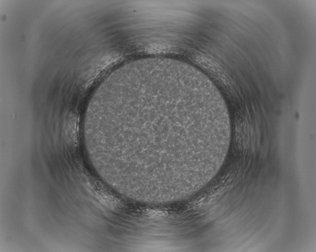 X0000087060592200705091202