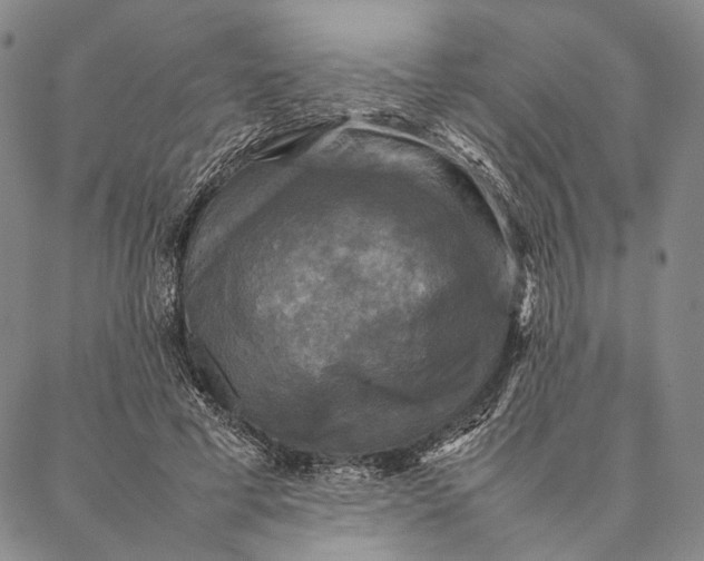 X0000087060593200705091202