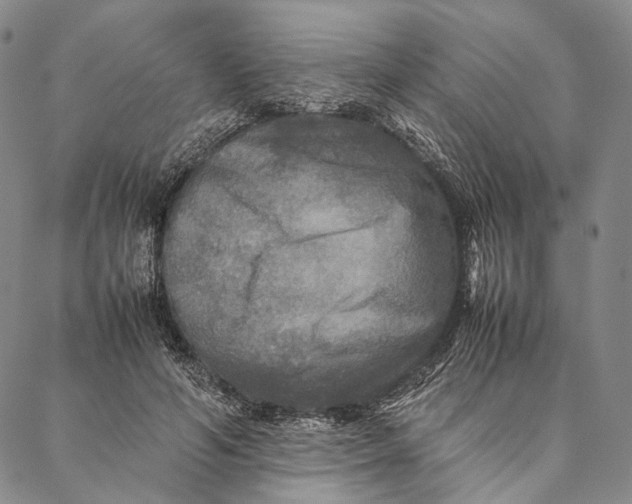 X0000087060594200705091202