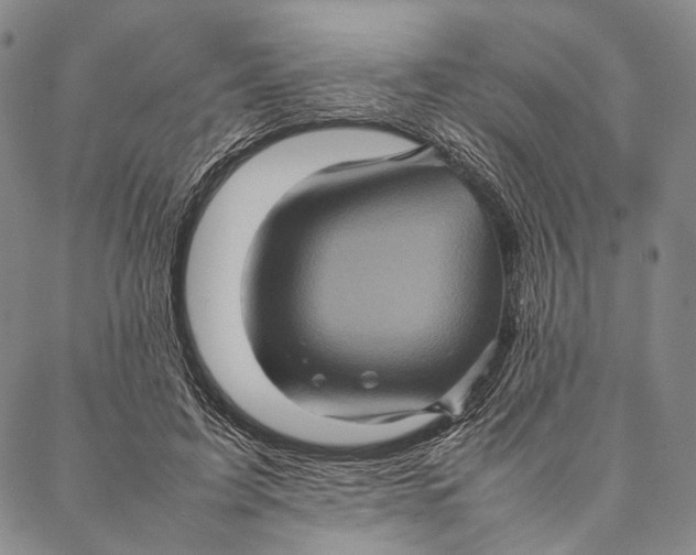 X0000087060595200705091202