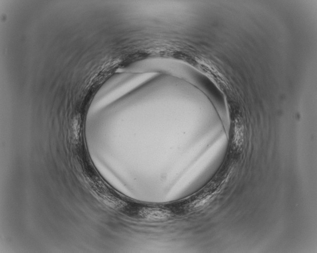 X0000087060597200705091202