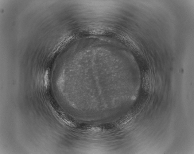 X0000087060598200705091202