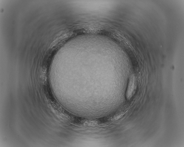 X0000087060599200705091202