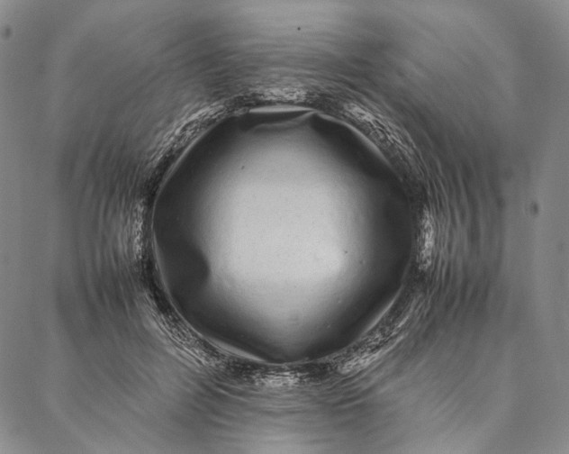 X0000087060600200705091202