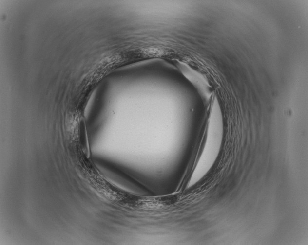 X0000087060601200705091202