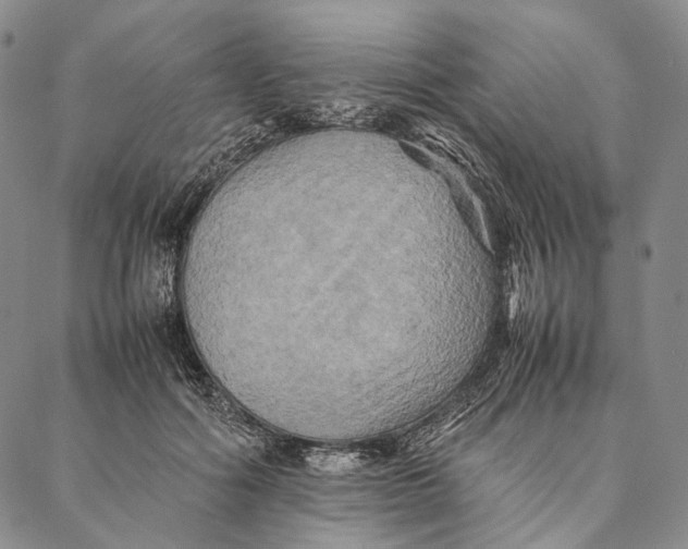 X0000087060602200705091202