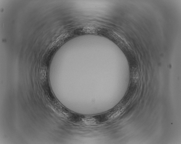 X0000087060603200705091202