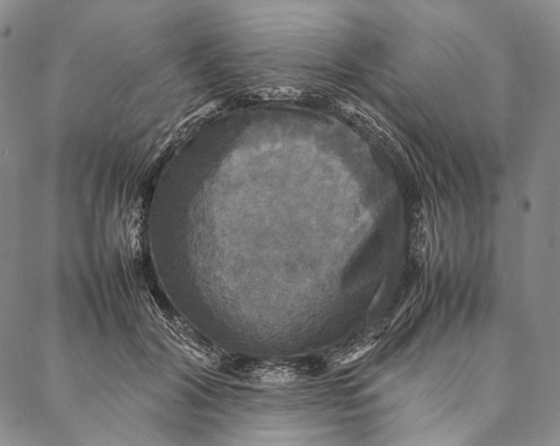 X0000087060604200705091202