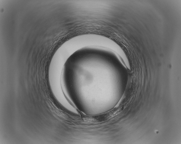 X0000087060605200705091202