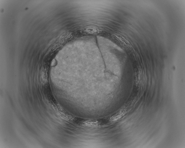 X0000087060606200705091202