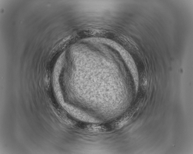 X0000087060607200705091202