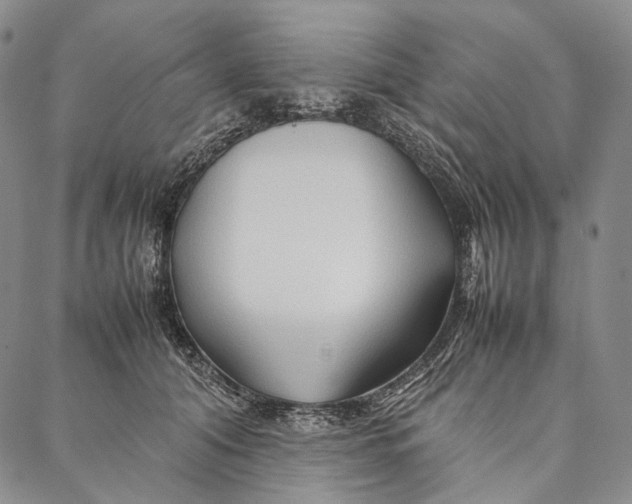 X0000087060608200705091202