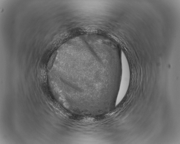 X0000087060609200705091202