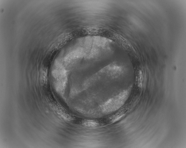 X0000087060610200705091202